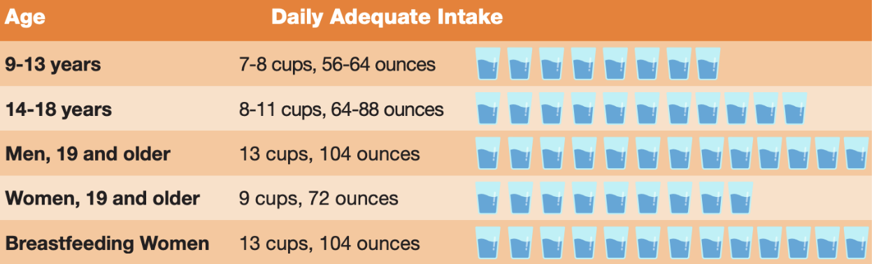 A guide to water intake when recovering from a concussion.